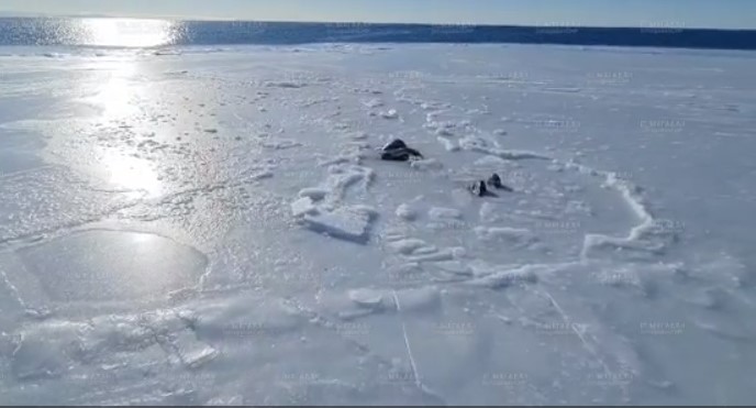 Вмерзшее в лед тело россиянина сняли на видео возле острова Недоразумения