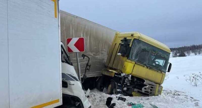 Под Богородском три человека погибли в массовом ДТП с грузовиками