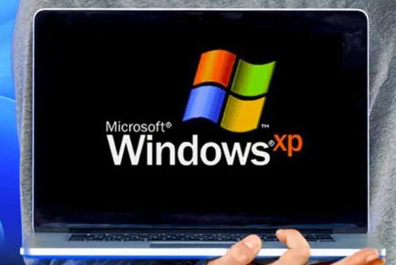 Холм с известной обоины XP оказался виноградником