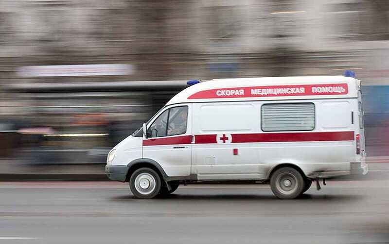 Девушка в Крыму попала в больницу с тяжёлыми травмами после нападения енота